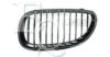BMW 51137065701 Radiator Grille